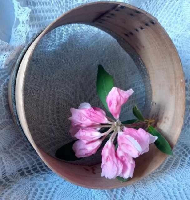 image of item